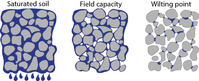 ../_images/GW_processes_saturatedsoilphases.png