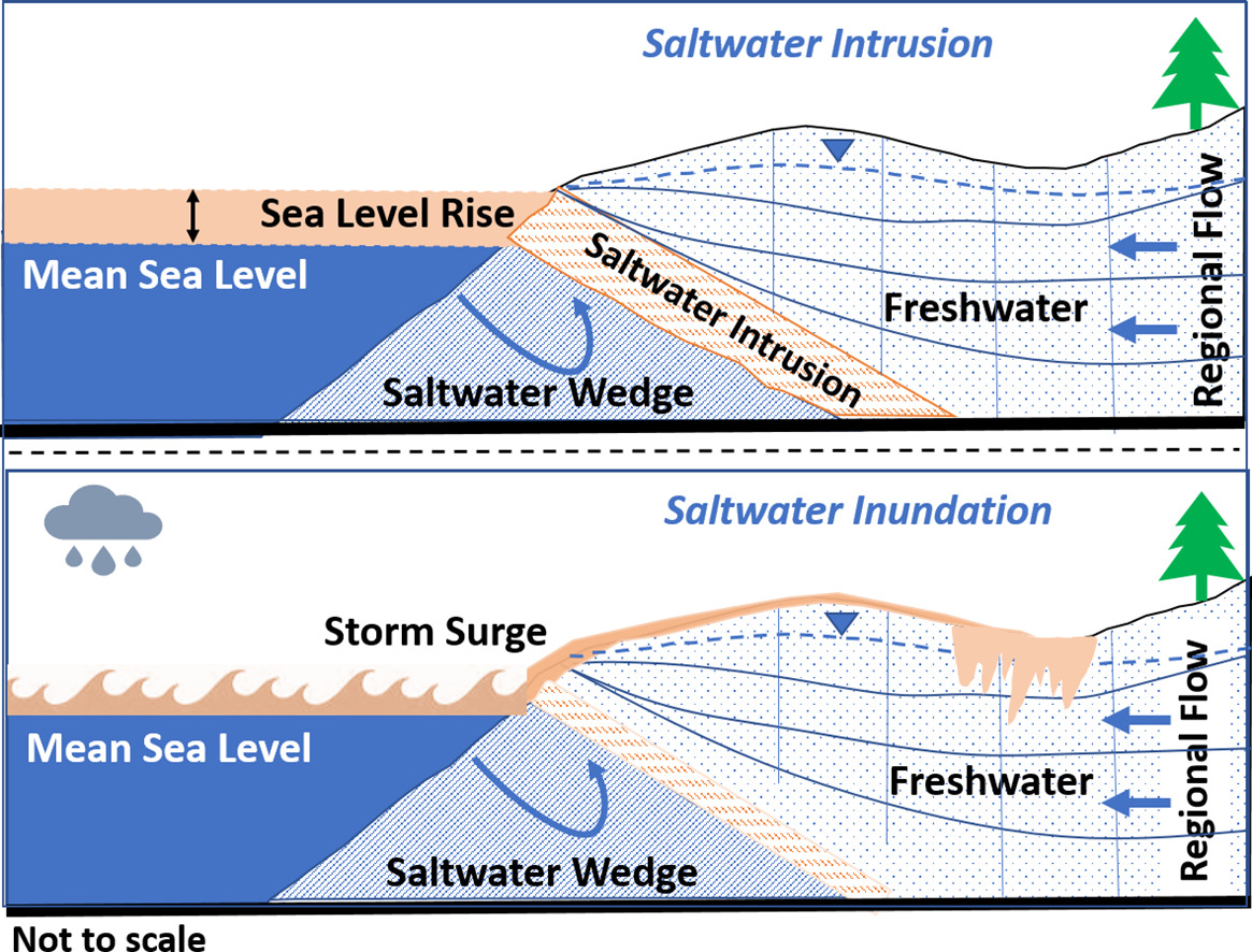 ../_images/HNL_northsea_saltintrusion.jpg