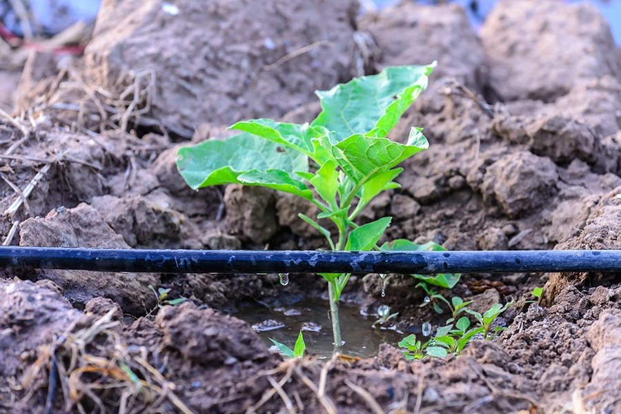 ../_images/INT_examples_irrigation.jpg
